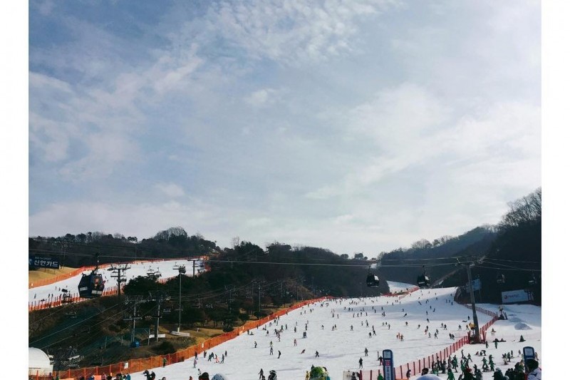 Daemyung Vivaldi Park Ski World  (17/20)