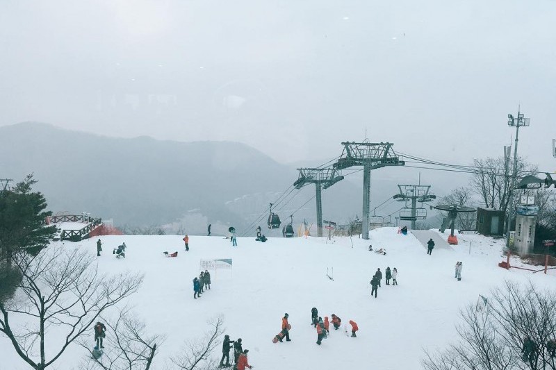 Daemyung Vivaldi Park Ski World  (18/20)
