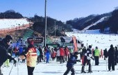 Daemyung Vivaldi Park Ski World 