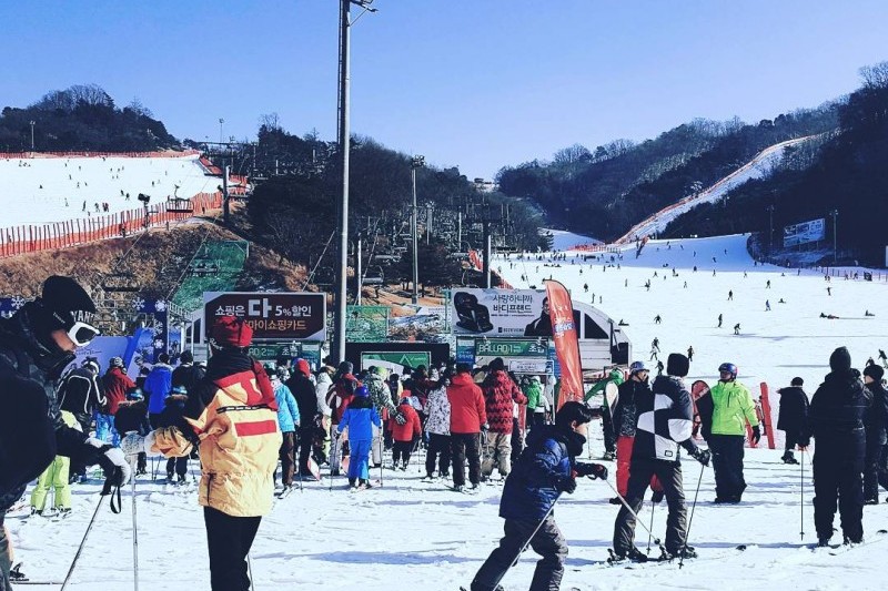 Daemyung Vivaldi Park Ski World  (20/20)