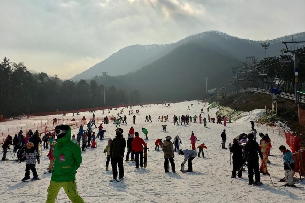 Winter Getaways: Ski Resorts in Korea(Ski Korea Festival)