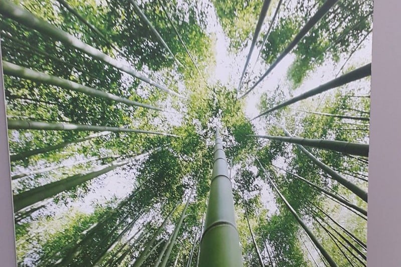 Korea Bamboo Museum 