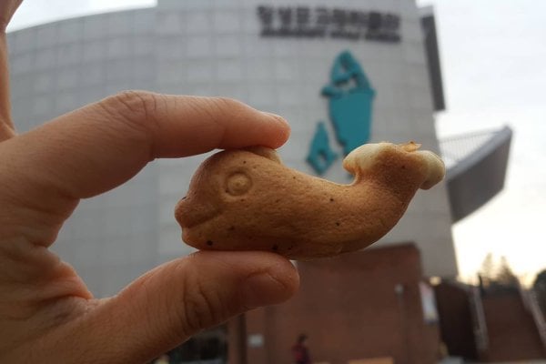 Jangsaengpo Whale Museum