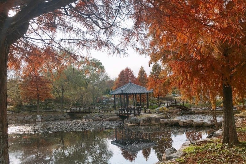 Korea Expressway Corporation Arboretum  (7/13)