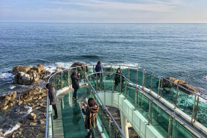 Namae Harbor  (7/9)