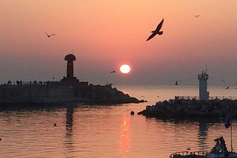 Namae Harbor  (8/9)
