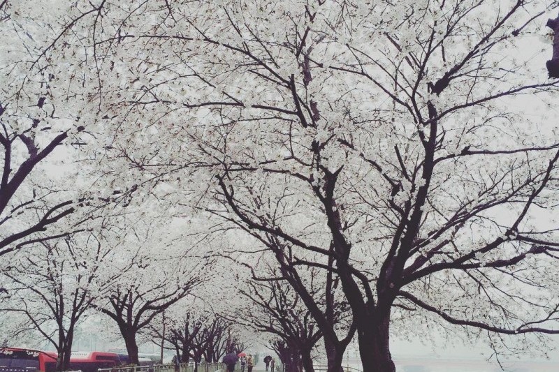 Chunhyang Theme Park  (14/14)