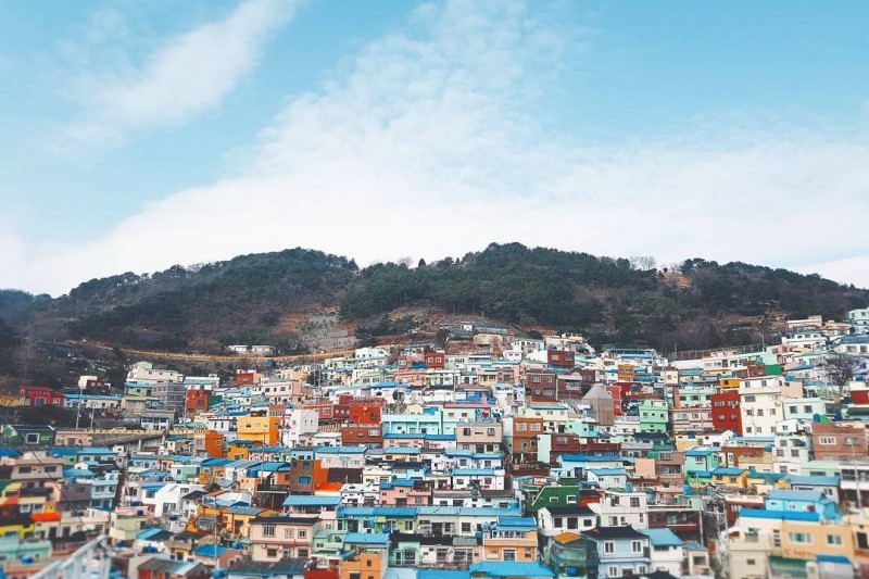 Busan Gamcheon Culture Village  (8/16)