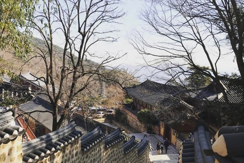 Beomeosa Temple Stay  (6/7)