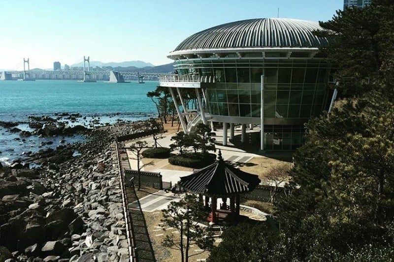 Haeundae Dongbaekseom Island  (19/24)