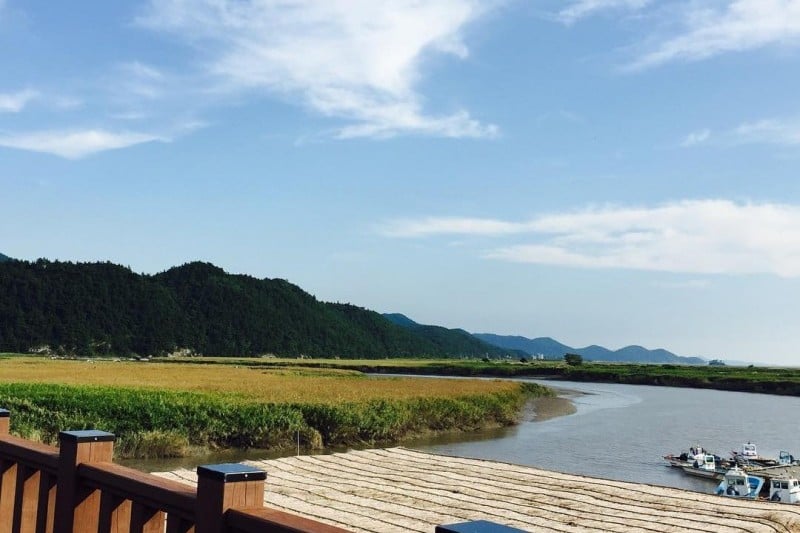 Suncheonman Bay Eco-Museum  (4/9)