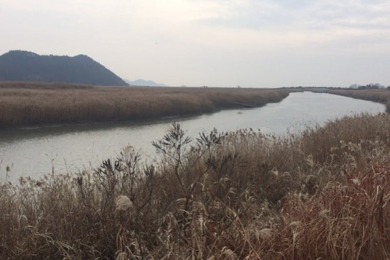 Suncheonman Bay Eco-Museum  (5/9)