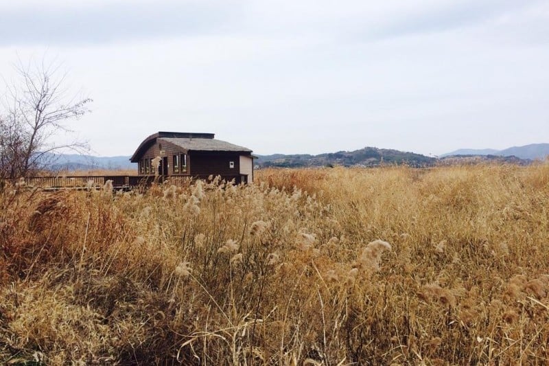 Suncheonman Bay Eco-Museum  (8/9)
