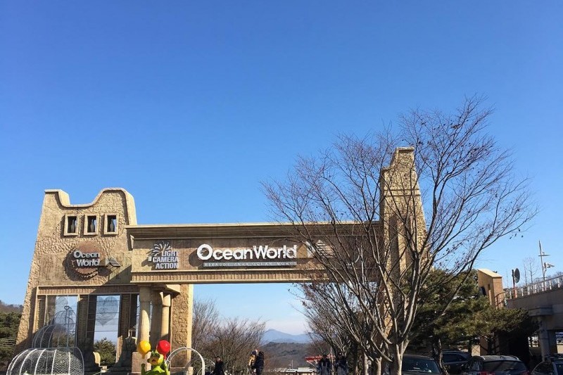 Vivaldi Park Ocean World  (4/12)