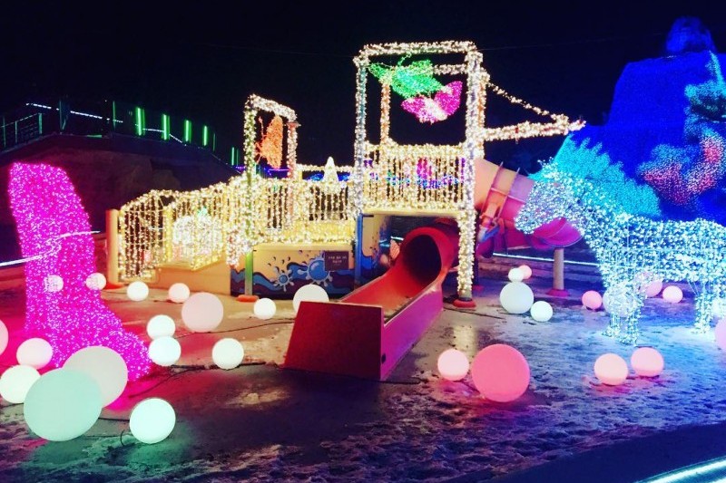 Vivaldi Park Ocean World  (9/12)