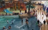 Vivaldi Park Ocean World 
