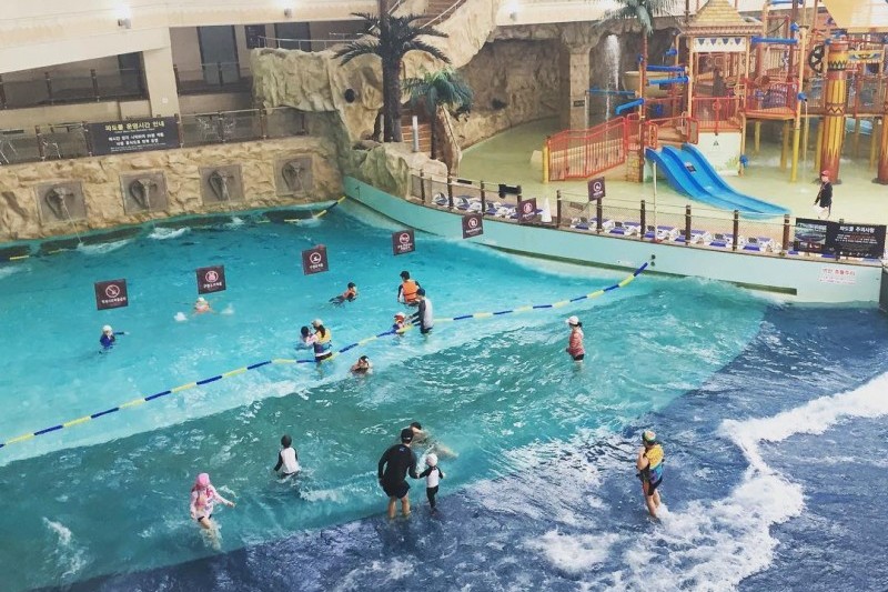 Vivaldi Park Ocean World  (12/12)