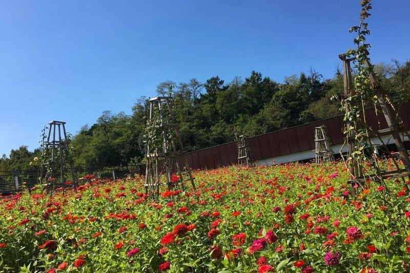 Seoseoul Lake Park  (2/3)