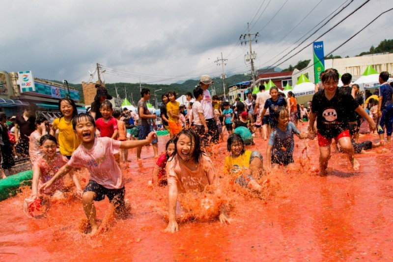 Hwacheon Tomato Festival  (1/7)