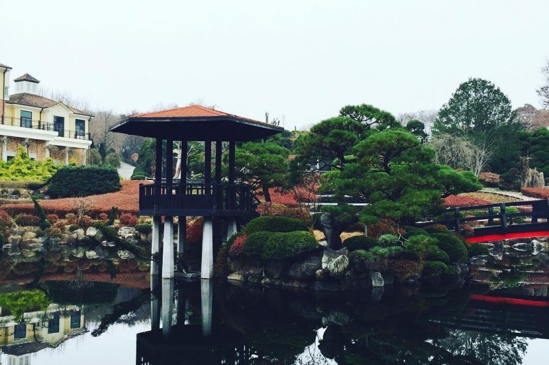 Beartree Park  (15/19)
