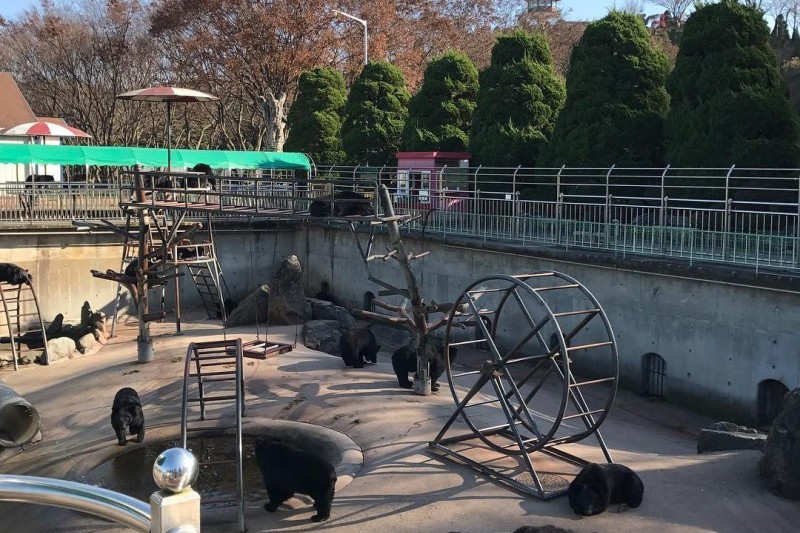 Beartree Park  (19/19)