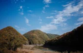 Bangudae Cliff 