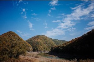 Bangudae Cliff 