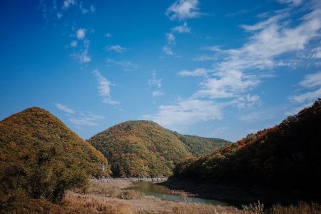 Bangudae Cliff 