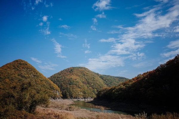 Bangudae Cliff