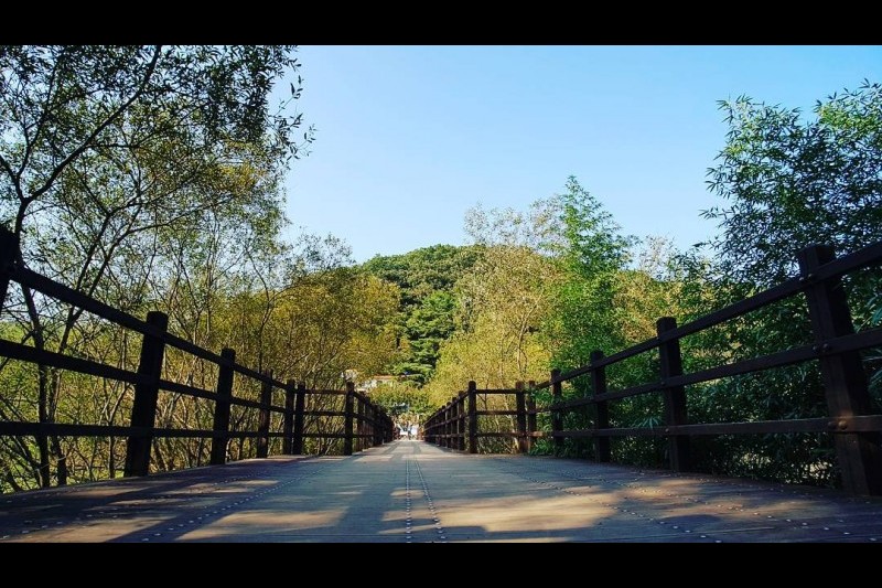 Bangudae Cliff  (10/12)