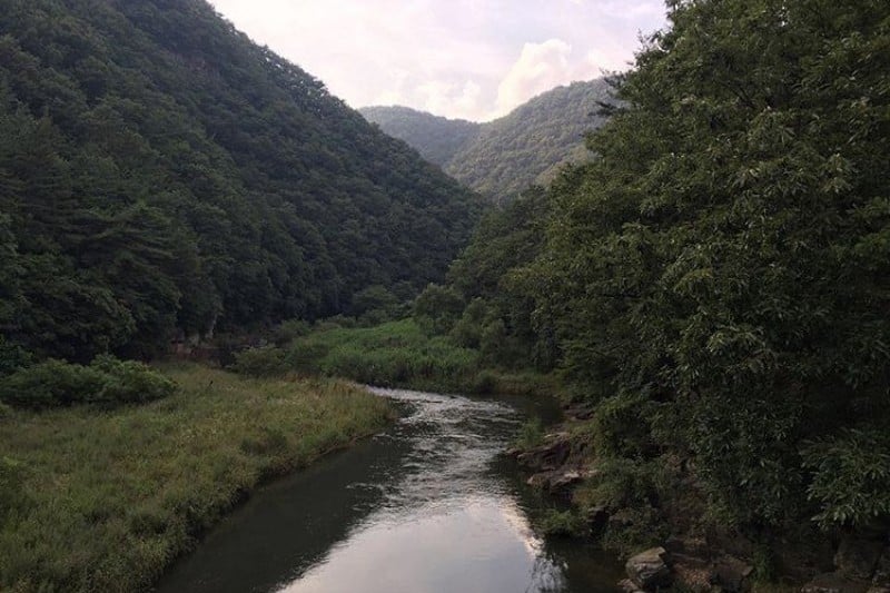 Bangudae Cliff  (11/12)