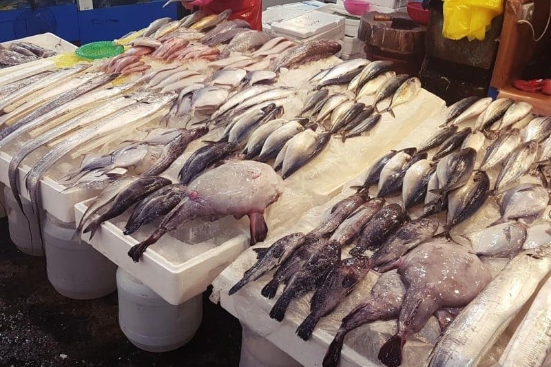 Garak Market  (6/19)