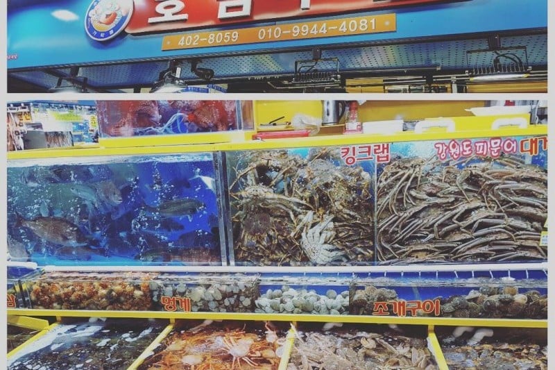 Garak Market  (7/19)