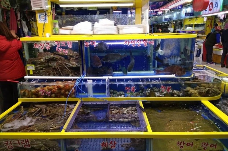 Garak Market  (13/19)