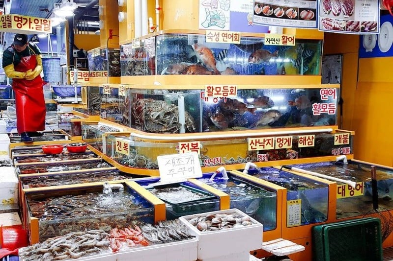 Garak Market  (15/19)