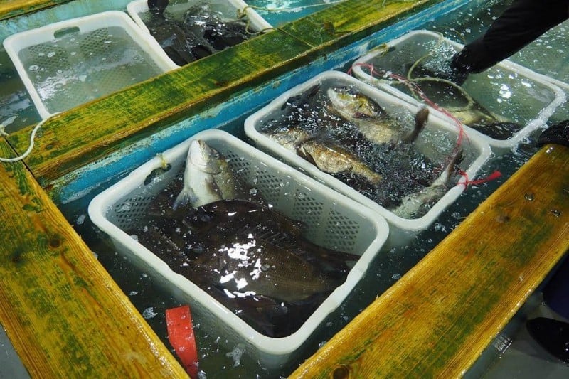 Garak Market  (18/19)