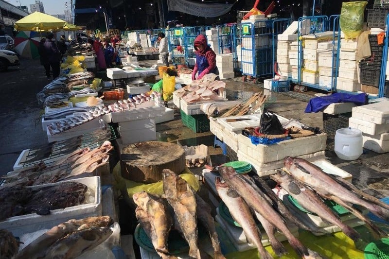 Garak Market  (19/19)