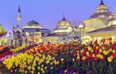 Everland Daily Pass Discount Ticket