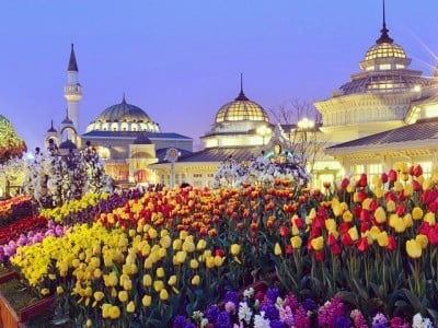 Everland Daily Pass Discount Ticket