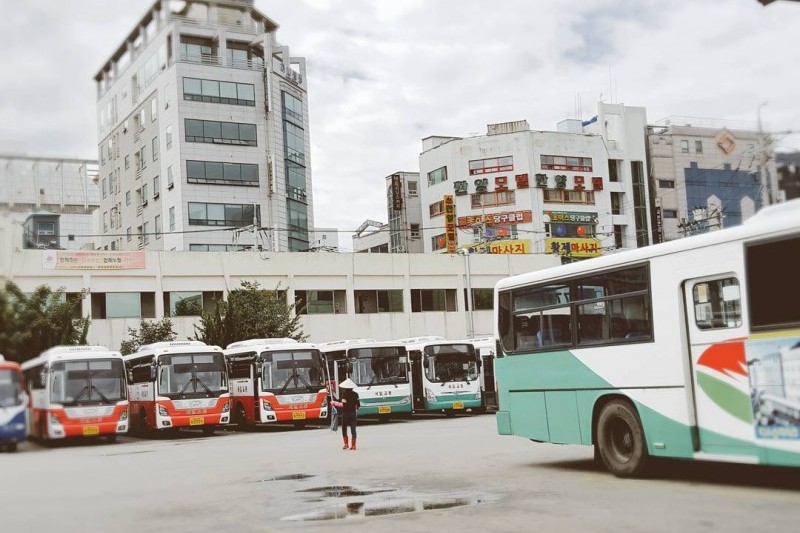 Gohyeon Bus Terminal  (2/2)