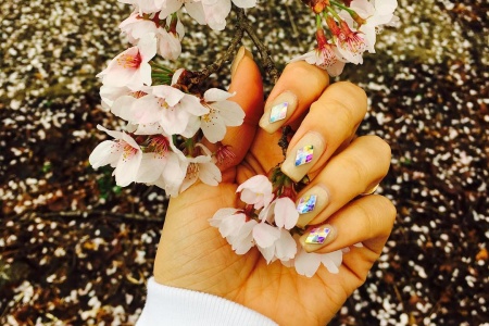Hwagae Cherry Blossom Festival 