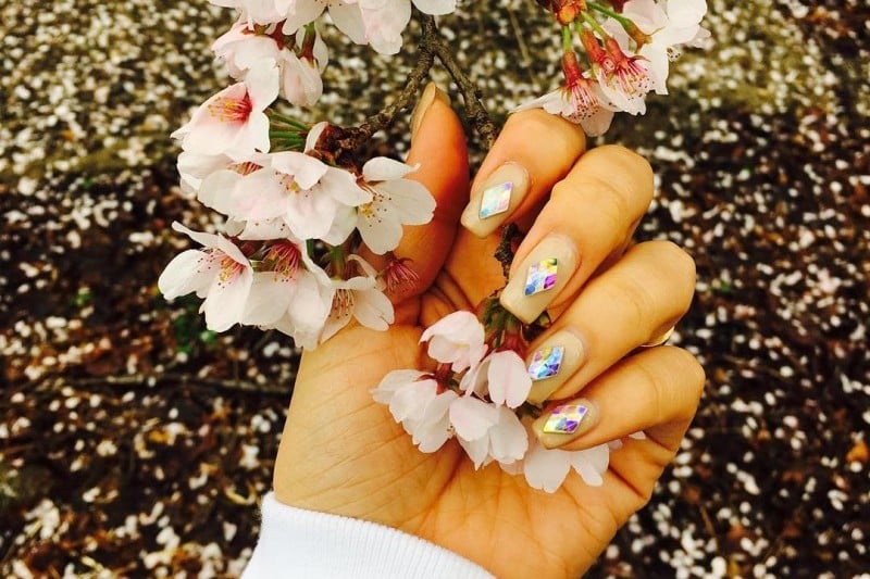 Hwagae Cherry Blossom Festival  (1/8)