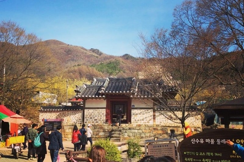 Icheon Baeksa Sansuyu Flower Festival 