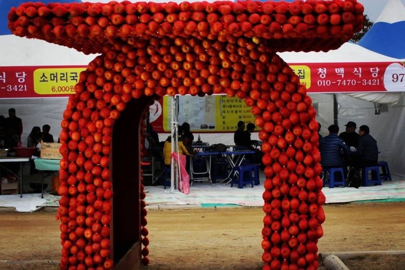 Cheongsong Apple Festival  (2/6)