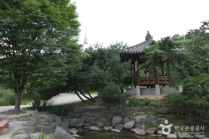 Myeong-dong, Namdaemun and Bukchang Special Tourist Zone  (6/11)