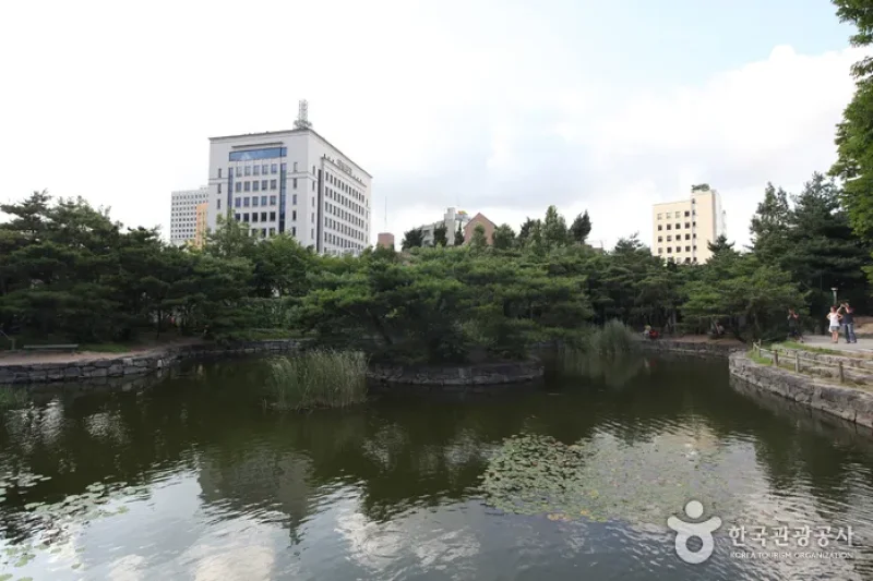 Myeong-dong, Namdaemun and Bukchang Special Tourist Zone  (7/11)