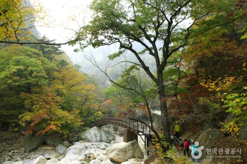 Seoraksan National Park  (11/11)