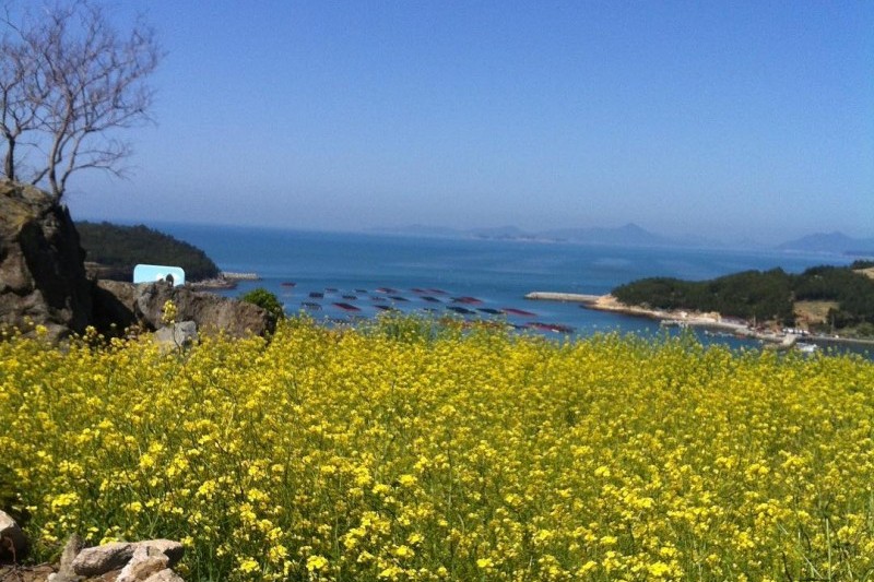 Cheongsando Island  (4/14)