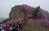 Yeongchwisan Mountain 