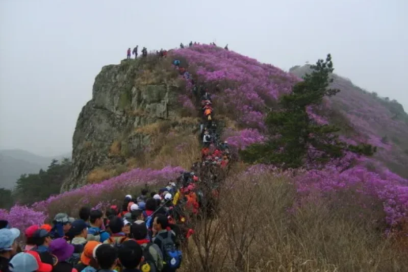 Yeongchwisan Mountain  (3/6)